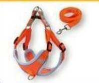 Pet Harness & Leash Set S - สายจูง + รัดอกสำหรับสัตว์เลี้ยง ความยาว 150 ซม. ขนาดหน้าอก 36-44 ซม. เส้นรอบวงคอ 32-38 ซม. (466092)