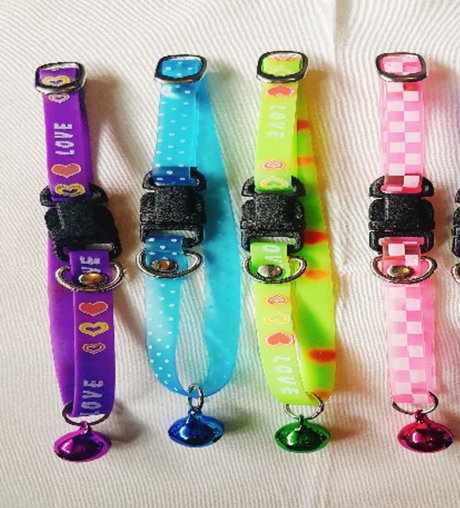 พบคำแนะนำในการเลือกกรงนกที่สมบูรณ์แบบ 9 Plastic Collar - ปลอกคอพลาสติ๊ก