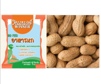 Winner Bird Food - อาหารนกและสัตว์ฟันแทะ ถั่วลิสง แกะเปลือก 1kg