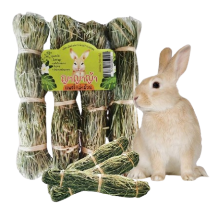 Yayaya Pangola Rolled Grass - หญ้าแพงโกล่าแบบม้วน 100g Yayaya Pangola Rolled Grass - หญ้าแพงโกล่าแบบม้วน 100g