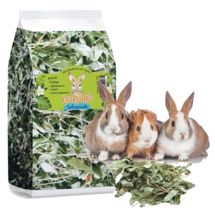 Yayaya Grabata Plant Leaves - ใบพืช กราบาต้า 100g Yayaya Grabata Plant Leaves - ใบพืช กราบาต้า 100g