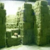 alfalfa_hay