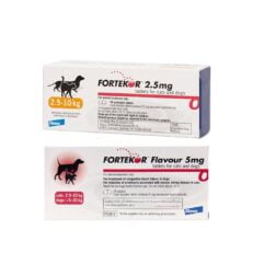 fortekor group