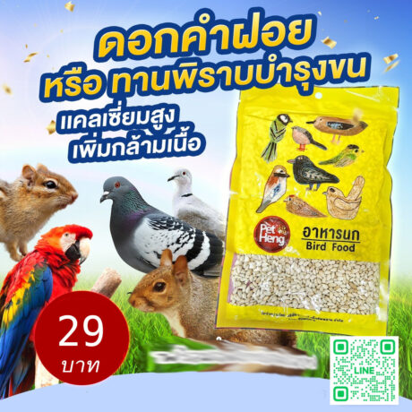 PRO Pet Heng Bird Food - อาหารนก ดอกคำฝอย 250g (498666)