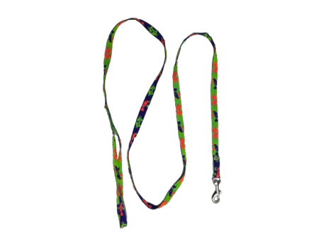 พบคำแนะนำในการเลือกกรงนกที่สมบูรณ์แบบ 9 Assorted Pet Leashes - สายจูงสัตว์เลี้ยง กว้าง3หุน (505753)