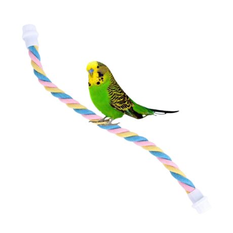 Bird Toys - ของเล่นนก คอนสำหรับนกแบบเชือกสีพาสเทล ขนาดเล็ก (24.5cm) (544337)
