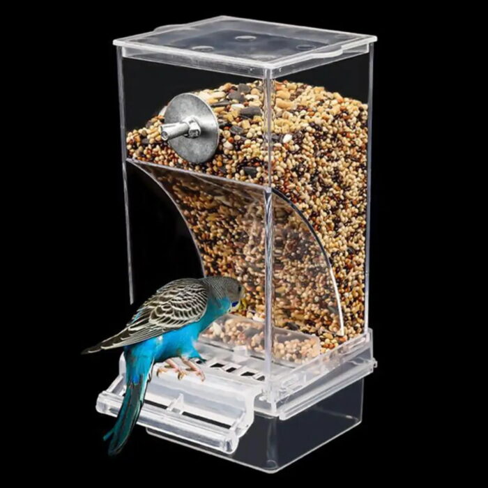 Automatic Bird Feeder - ที่ให้อาหารสำหรับนกอัตโนมัติ แบบเหลี่ยม Automatic Bird Feeder - ที่ให้อาหารสำหรับนกอัตโนมัติ แบบเหลี่ยม