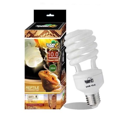 พบคำแนะนำในการเลือกกรงนกที่สมบูรณ์แบบ 7 Lucky Herp Desert UVB 10.0 26w