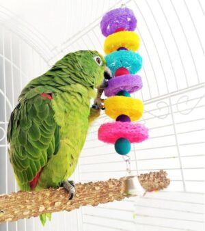 bird_chew_luffa Bird Chew Toy - ของเล่นสำหรับนก แบบห้อยลูกบอลไม้ ใยบวบและกระดิ่ง (501178)