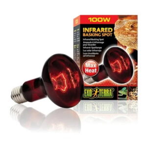 exo_terra_infra_100w Exo Terra Infrared Basking Spot - หลอดไฟอินฟราเรด สำหรับให้ความร้อนในช่วงเวลากลางคืน ขนาด 100W (501286)