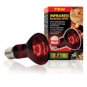 exo_terra_infra_75W Exo Terra Infrared Basking Spot - หลอดไฟอินฟราเรด สำหรับให้ความร้อนในช่วงเวลากลางคืน ขนาด 75W (501288)