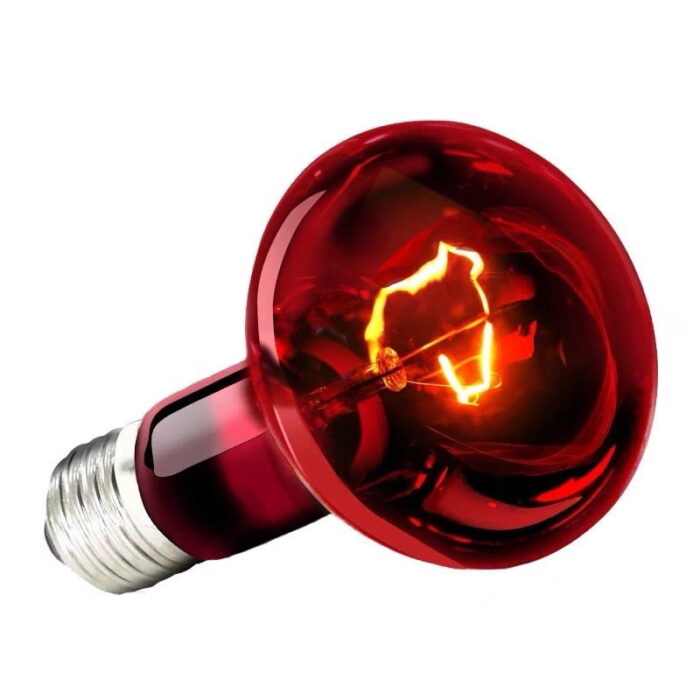 knowing_heating_lamp Knowing Infrared Heating Lamp - หลอดไฟอินฟราเรด สำหรับให้ความร้อนในช่วงเวลากลางคืน 50W (501313)