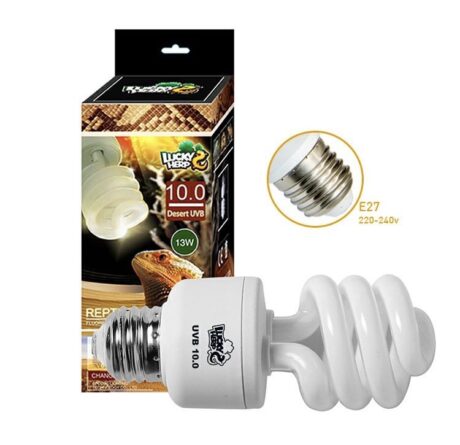 พบคำแนะนำในการเลือกกรงนกที่สมบูรณ์แบบ 8 Lucky Herp Desert UVB 10.0 13W