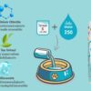 water-additive-features-1-1200x750 Nano Power Water Additive - ผลิตภัณฑ์ผสมน้ำดื่ม สำหรับสัตว์เลี้ยง 250ml (510455)