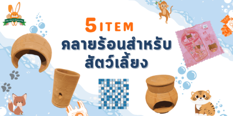 5 Item ทำความเย็นสำหรับสัตว์เลี้ยงในฤดูร้อน