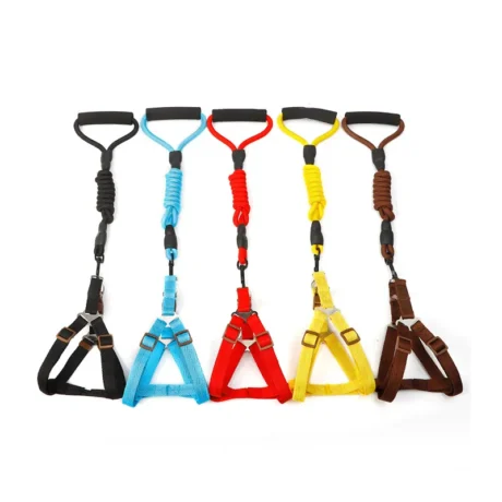 Harness & Leash Set M - สายจูง + รัดอกสำหรับสัตว์เลี้ยงขนาดใหญ่ ความยาว 120 ซม. รอบอก 35 - 46 ซม. (555570)