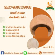 Clay Cave House - บ้านถ้ำดินเผาสำหรับสัตว์เล็ก ขนาด4นิ้ว