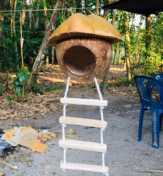 Coconut Shell House - บ้านกะลามะพร้าวสายห้อยโซ่+บันไดเชือก