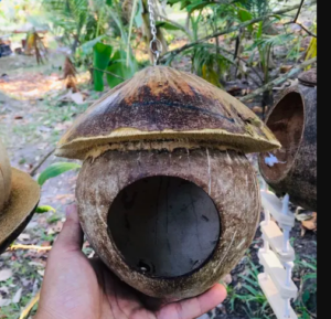 Coconut Shell House - บ้านกะลามะพร้าวหมวกคาวบอย+สายห้อยโซ่ Coconut Shell House - บ้านกะลามะพร้าวหมวกคาวบอย+สายห้อยโซ่
