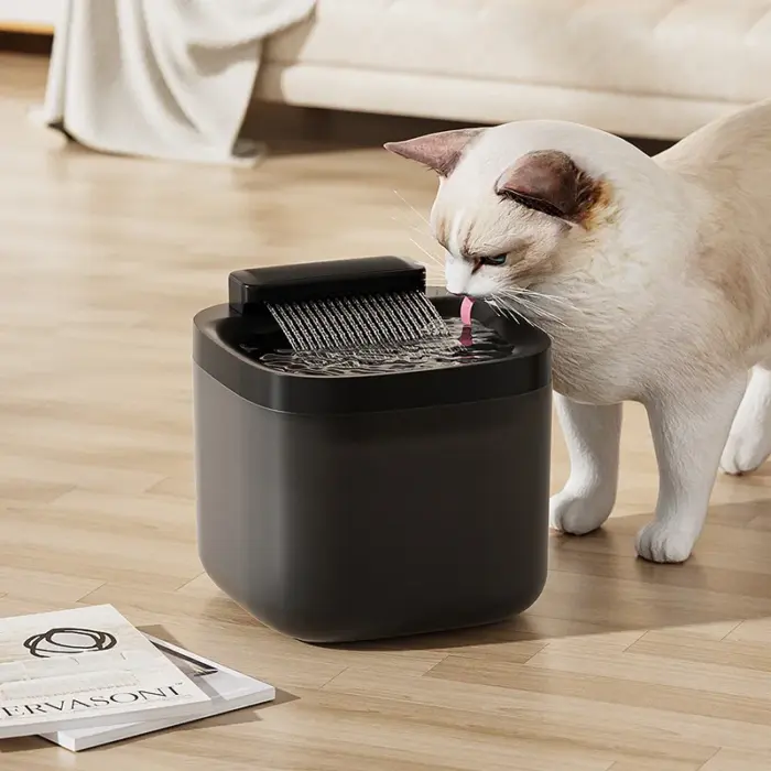 Pet Water Fountain Anti-Dry Burning 3L Pet Water Fountain Anti-Dry Burning 3L