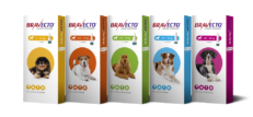 Bravecto Plus Spot-On For Dog