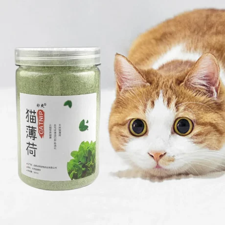 TBD Catnip Powder 100g - แคทนิป กัญชาแมวแบบผงออร์แกนิคแบบหลอด 100 กรัม (528962)