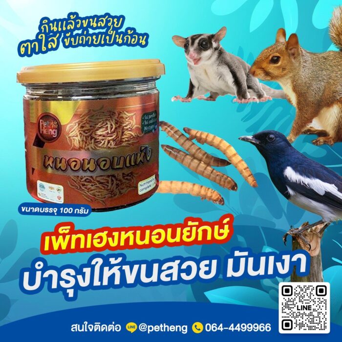 S__18931726 Pet Heng Dried Super Mealworms 100g - หนอนยักษ์อบแห้งแบบกระปุก 100 กรัม (532155)