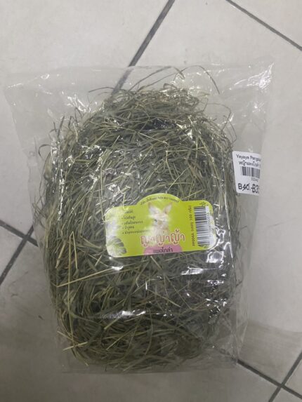 S__41844739 Yayaya Pangola Grass - หญ้าแพงโกล่า 100g (523442)