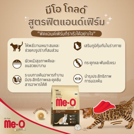 Me-O Gold Fit & Firm 1+ 1.2kg - อาหารเม็ดสูตรแมวฟิตแอนด์เฟิร์ม เหมาะสำหรับอายุ 1 ปีขึ้นไป ขนาด 1.2 กิโลกรัม (526934)