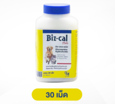 Biz-Cal Plus