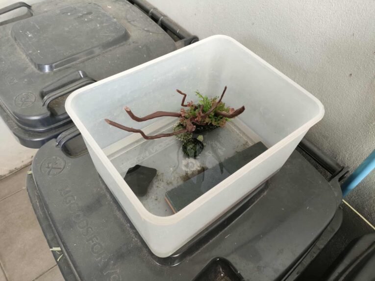 e0ce3b1f-6f4e-433c-95b7-a8d3e43362e0