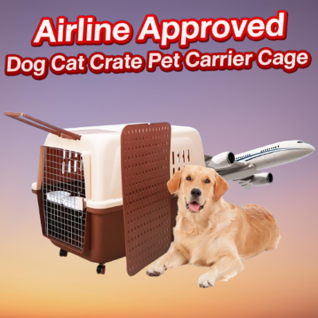Crate Pet Carrier Cage Medium Size - กล่องพกพาสัตว์เลี้ยงขนาดกลาง (45x63x47cm)(537871)