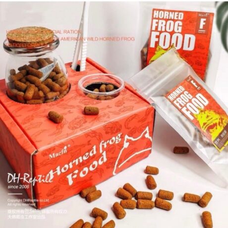 Reptile Diet Horned Frog Food Set - ชุดเซ็ทอาหารเม็ดสำเร็จรูปกบฮอร์นฟรอก 40g (536479)