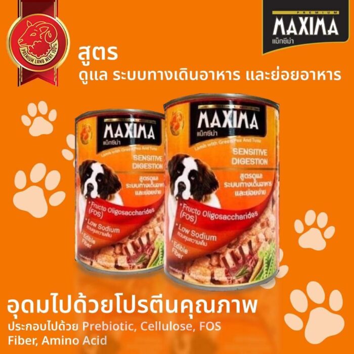 Maxima Healthy Sensitive Digestion Lamb Green Pea with Tuna - อาหารแมวกระป๋อง สูตรดูแลระบบทางเดินอาหาร รสเนื้อแกะ ถั่วเขียวและทูน่า 380g Maxima Healthy Sensitive Digestion Lamb Green Pea with Tuna - อาหารแมวกระป๋อง สูตรดูแลระบบทางเดินอาหาร รสเนื้อแกะ ถั่วเขียวและทูน่า 380g
