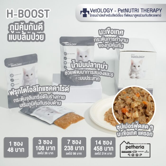 h-boost VetOLOGY H-BOOST BONITO JELLY – อาหารแมวเปียก สูตรเพิ่มภูมิคุ้มกัน โบนิโตะเยลลี่ 80g (552823)