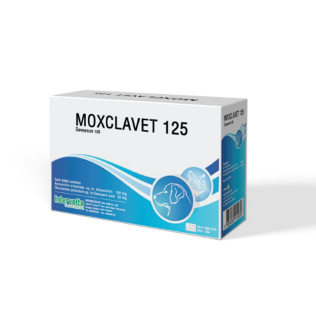 Moxclavet 125mg Antibiotics (7 Tablets) - ยาปฏิชีวนะสำหรับรักษาโรคติดเชื้อแบคทีเรียที่ผิวหนังและเนื้อเยื่ออ่อน แบบเม็ด ขนาด 125 มิลลกรัม (1แผง-7เม็ด) (556732)