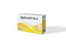 Moxclavet 62.5mg Antibiotics (7 Tablets) - ยาปฏิชีวนะสำหรับรักษาโรคติดเชื้อแบคทีเรียที่ผิวหนังและเนื้อเยื่ออ่อน แบบเม็ด ขนาด 62.5 มิลลกรัม (1แผง-7เม็ด) (556718)