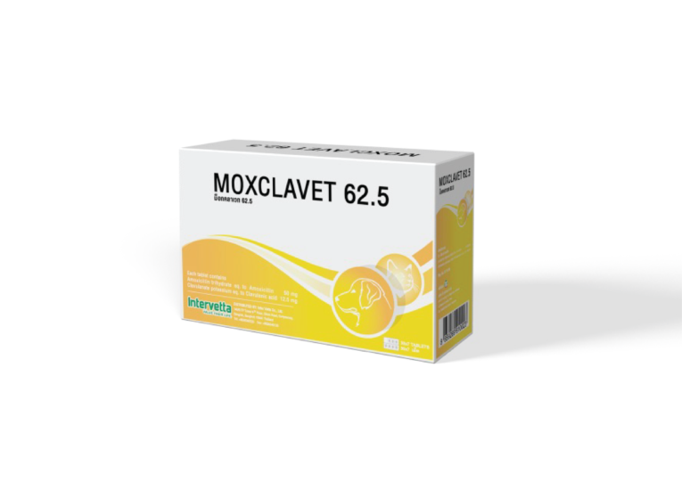 moxclavet 62.5