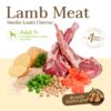 pawdy-holistic-พอดี้-อาหารสุนัข-โฮลิสติก-แกะรมควัน Pawdy Holistic Canine Adult 1+ Lamb Meat Smoked Lamb - พอดี้ โฮลิสติก อาหารสุนัขโต สูตรเนื้อแกะรมควัน 1.3kg (549824)