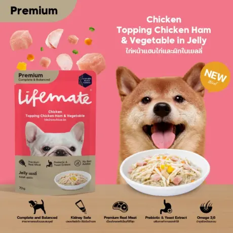 พบคำแนะนำในการเลือกกรงนกที่สมบูรณ์แบบ 7 Lifemate Pouch Dog Food - อาหารเปียกสุนัข เนื้อไก่ แฮมไก่และผัก เยลลี่ 70g