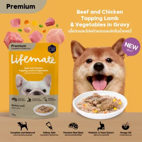 พบคำแนะนำในการเลือกกรงนกที่สมบูรณ์แบบ 8 Lifemate Pouch Dog Food - อาหารเปียกสุนัข เนื้อวัว ไก่ แกะและผัก เกรวี่ 70g