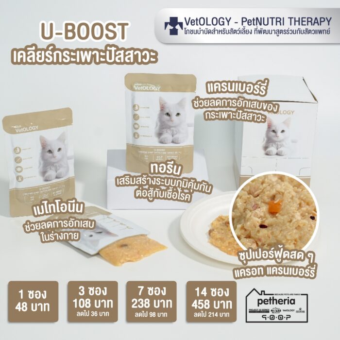 u-boost VetOLOGY U-BOOST CATFISH AND TURKEY JELLY – อาหารแมวเปียก สูตรเคลียร์กระเพาะปัสสาวะ ปลาดุกและไก่งวงเยลลี่ 80g (552821)