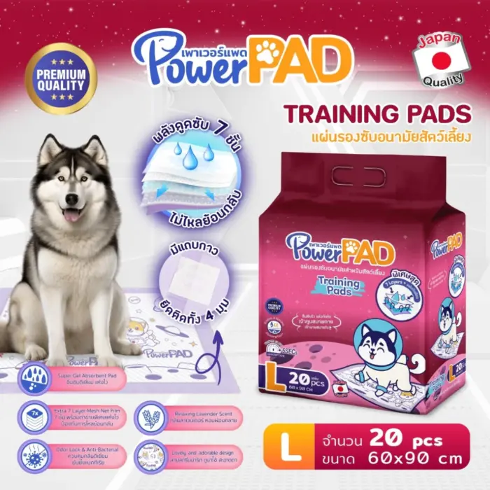 th-11134207-7r98y-lxic9efhubprd2 Power PAD Traning Pads Size L - แผ่นรองซับอนามัยสำหรับสุนัข 20ชิ้น (60x90cm)