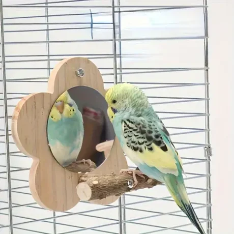 Bird Toy Perch & Mirror - ของเล่นนก กระจกส่องวงกลม พร้อมคอนไม้ (574452)