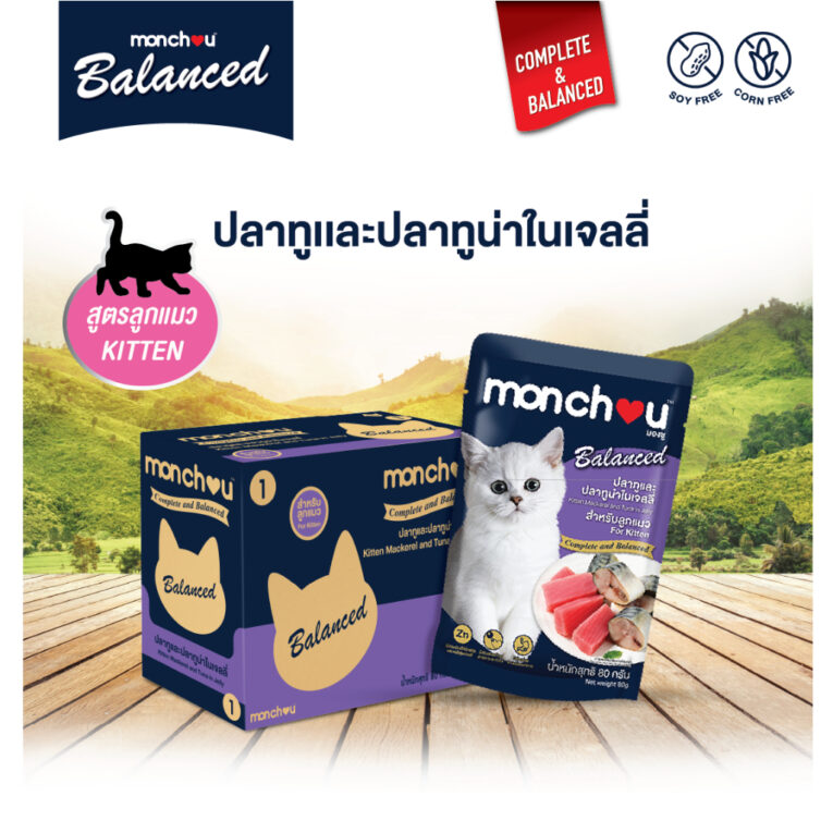 Monchou Pouch Complete and Balanced for Kitten 01