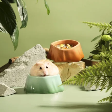 Bucatstate Mushroom Bowl For Hamster - ถ้วยอาหารเซรามิกสำหรับหนูแฮมสเตอร์ ธีมเห็ดป่า (3.8x9.8x9.5cm) (574472)