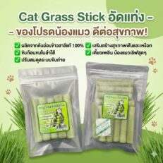 Cat Grass Stick