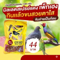 Pet Heng Bird Food - อาหารนก มิลเล็ตสเปรย์แดง 100g (584981)