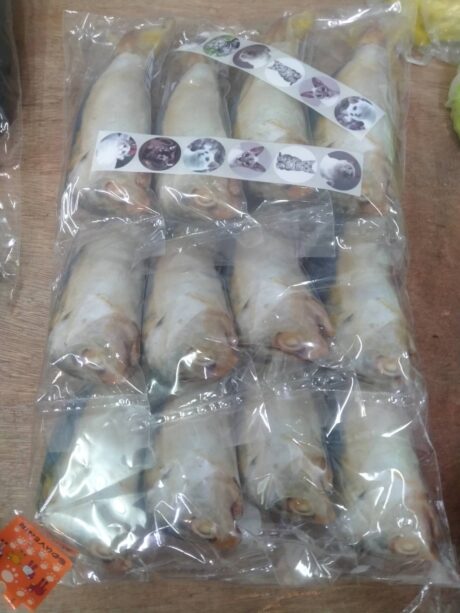 ปลาทูใหญ่
