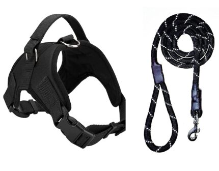 Harness & Leash Set L - สายจูง + รัดอกสำหรับสัตว์เลี้ยงขนาดกลาง ความยาว 140 ซม. รอบอก 63 - 77 ซม. รอบคอ 54 - 67 ซม (262903)